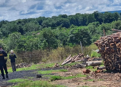 Carvoaria localizada na zona rural de Alto Taquari, no estado de Mato Grosso.