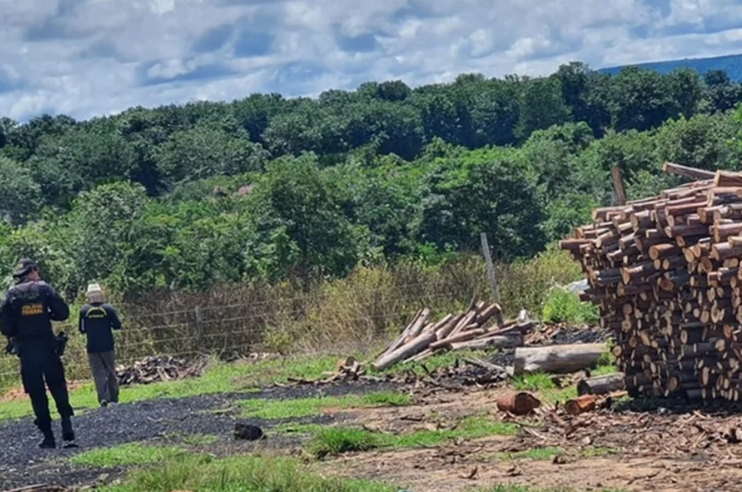 Carvoaria localizada na zona rural de Alto Taquari, no estado de Mato Grosso.