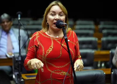 Deputada Gorete Pereira