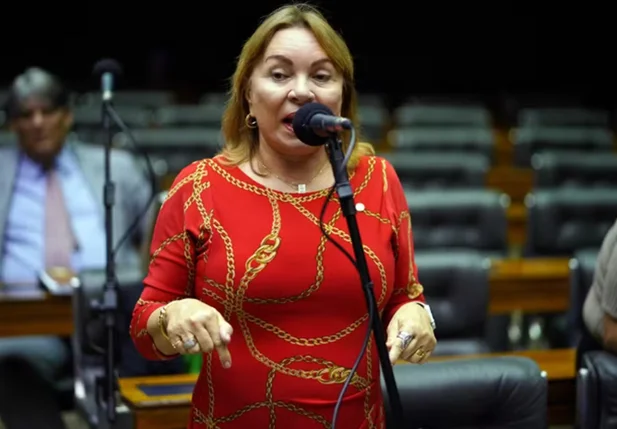 Deputada Gorete Pereira
