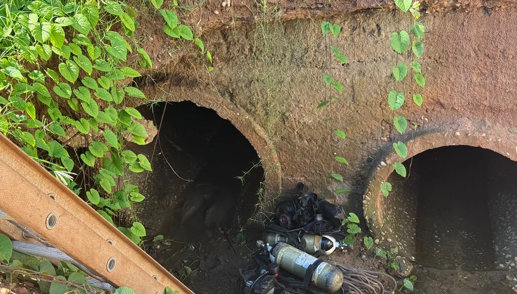 Grotão para onde a vítima foi arrastada