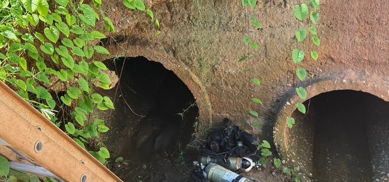 Grotão para onde a vítima foi arrastada
