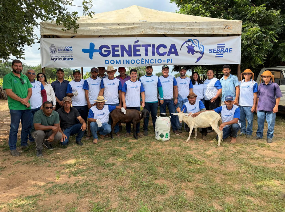 Intercâmbio fortalece pecuária e impulsiona melhoramento genético em São Raimundo Nonato