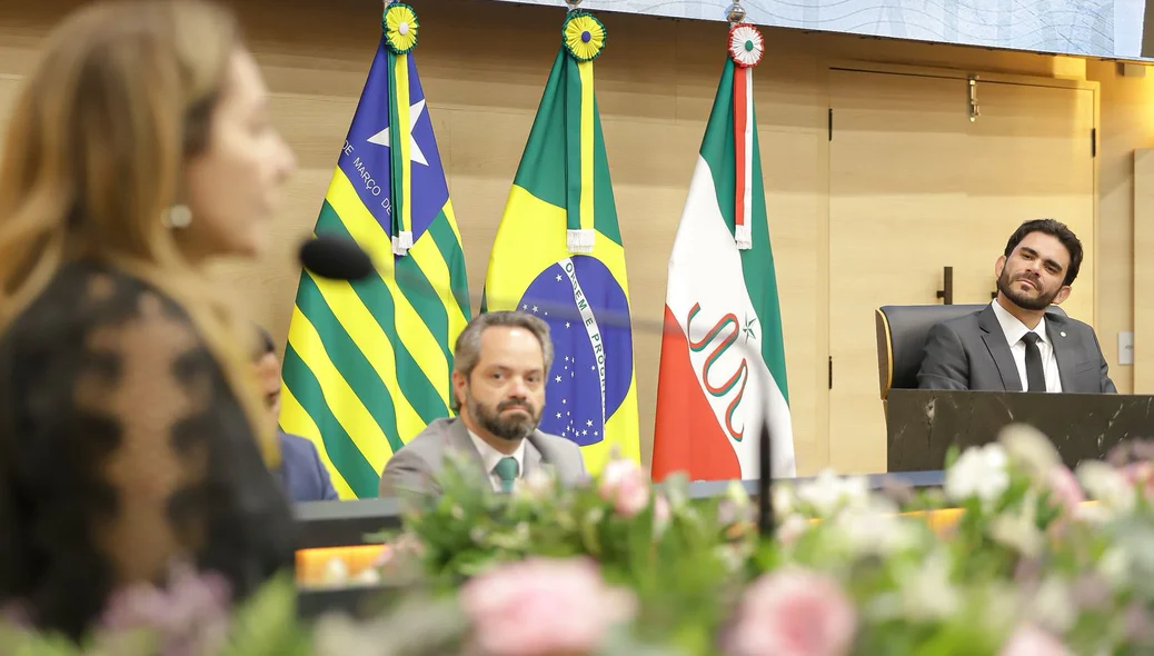 Liana Chaib homenageada pelos deputados