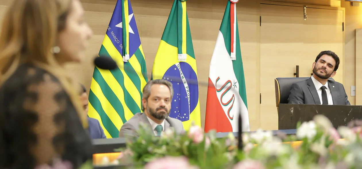 Liana Chaib homenageada pelos deputados