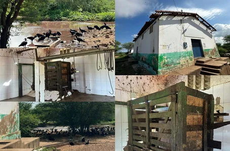 Matadouro Público do município de Paulistana