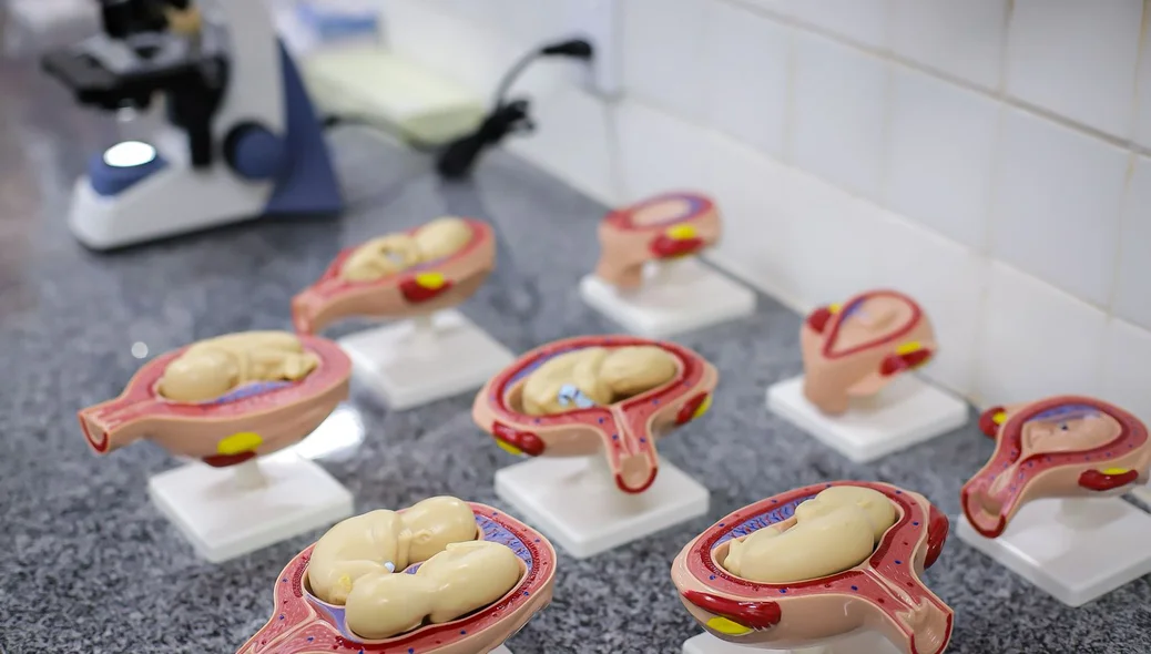 Novo laboratório