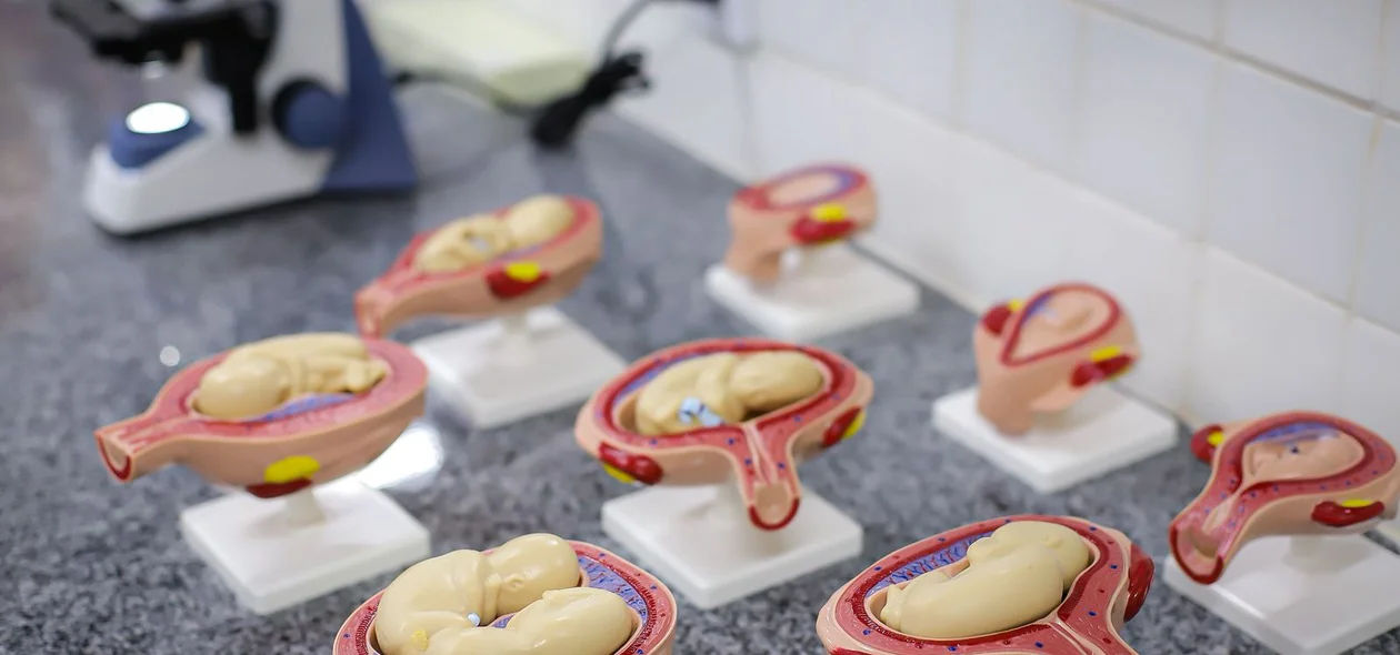Novo laboratório