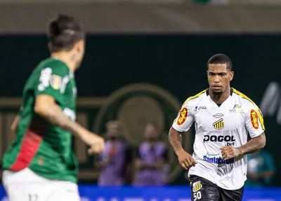 Novorizontino enfrenta o Palmeiras pelo título do Paulistão