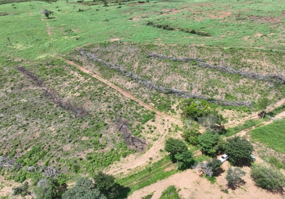 Operação Caatinga Resiste fiscalizou 324 alertas de desmatamento em nove estados