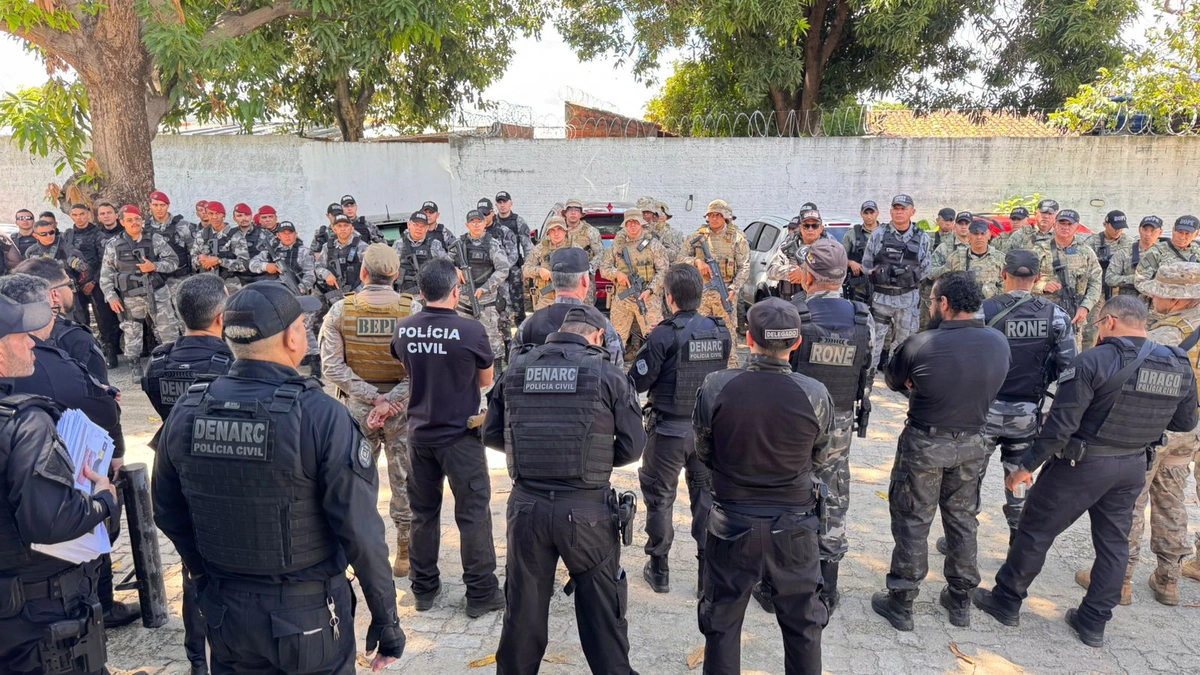Operação coordenada pelo DENARC no interior do Piauí