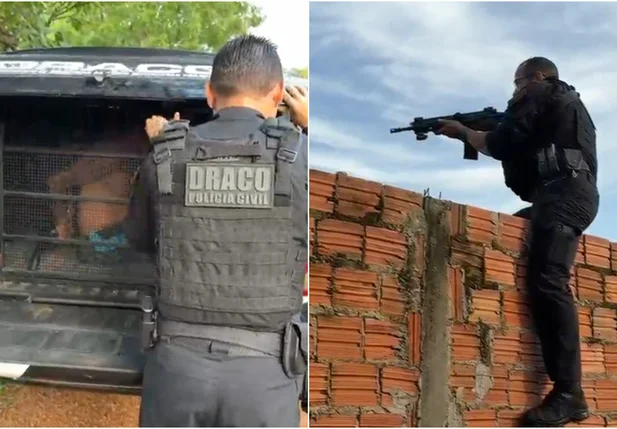 Operação deflagrada em Esperantina