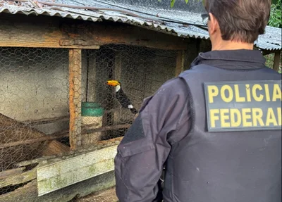 Operação Extinção Zero deflagrada pela Polícia Federal