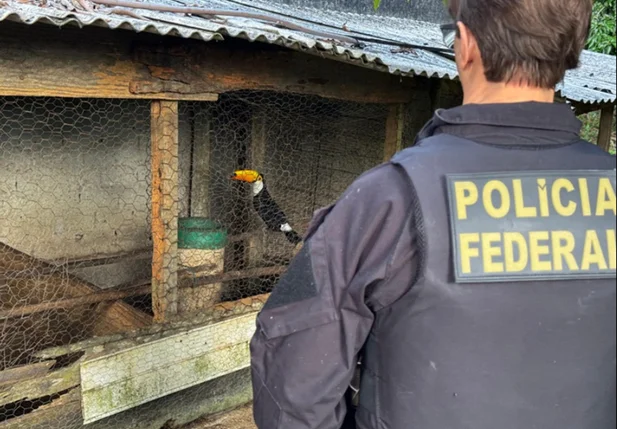 Operação Extinção Zero deflagrada pela Polícia Federal