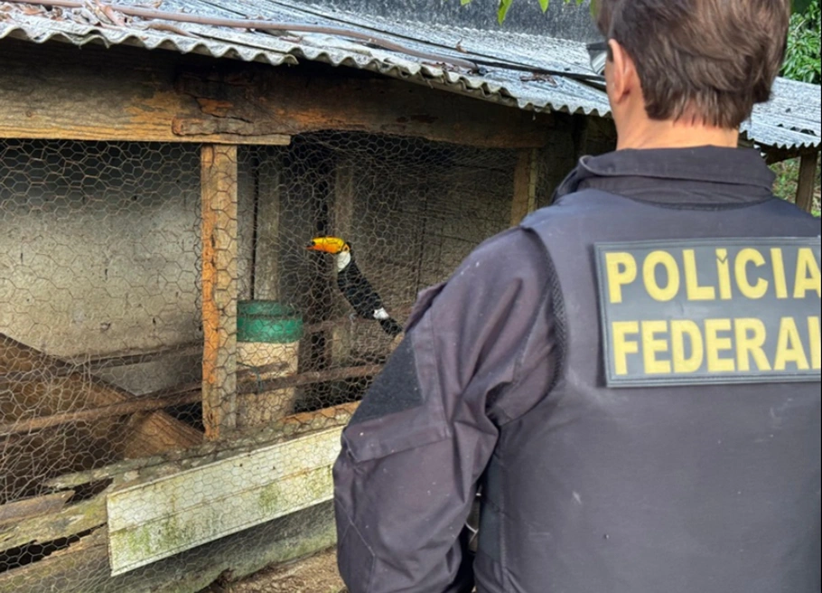 Operação Extinção Zero deflagrada pela Polícia Federal
