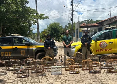 Operação Proteção Integral