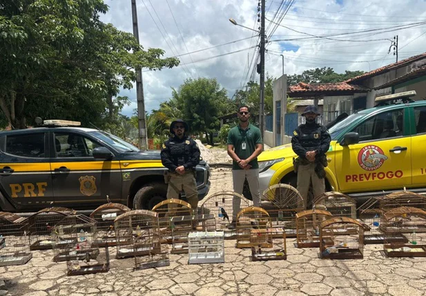 Operação Proteção Integral