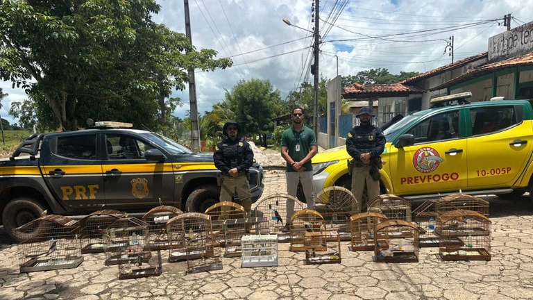 Operação Proteção Integral