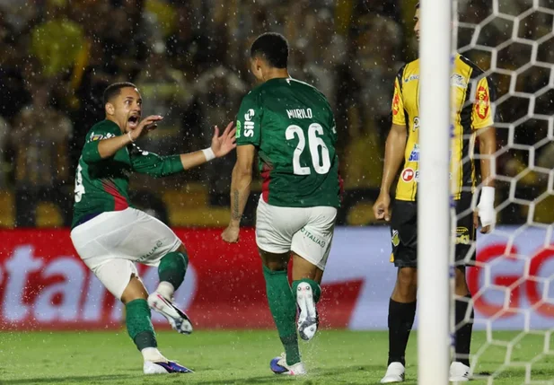 Palmeiras vence Novorizontino e é campeão do Paulistão