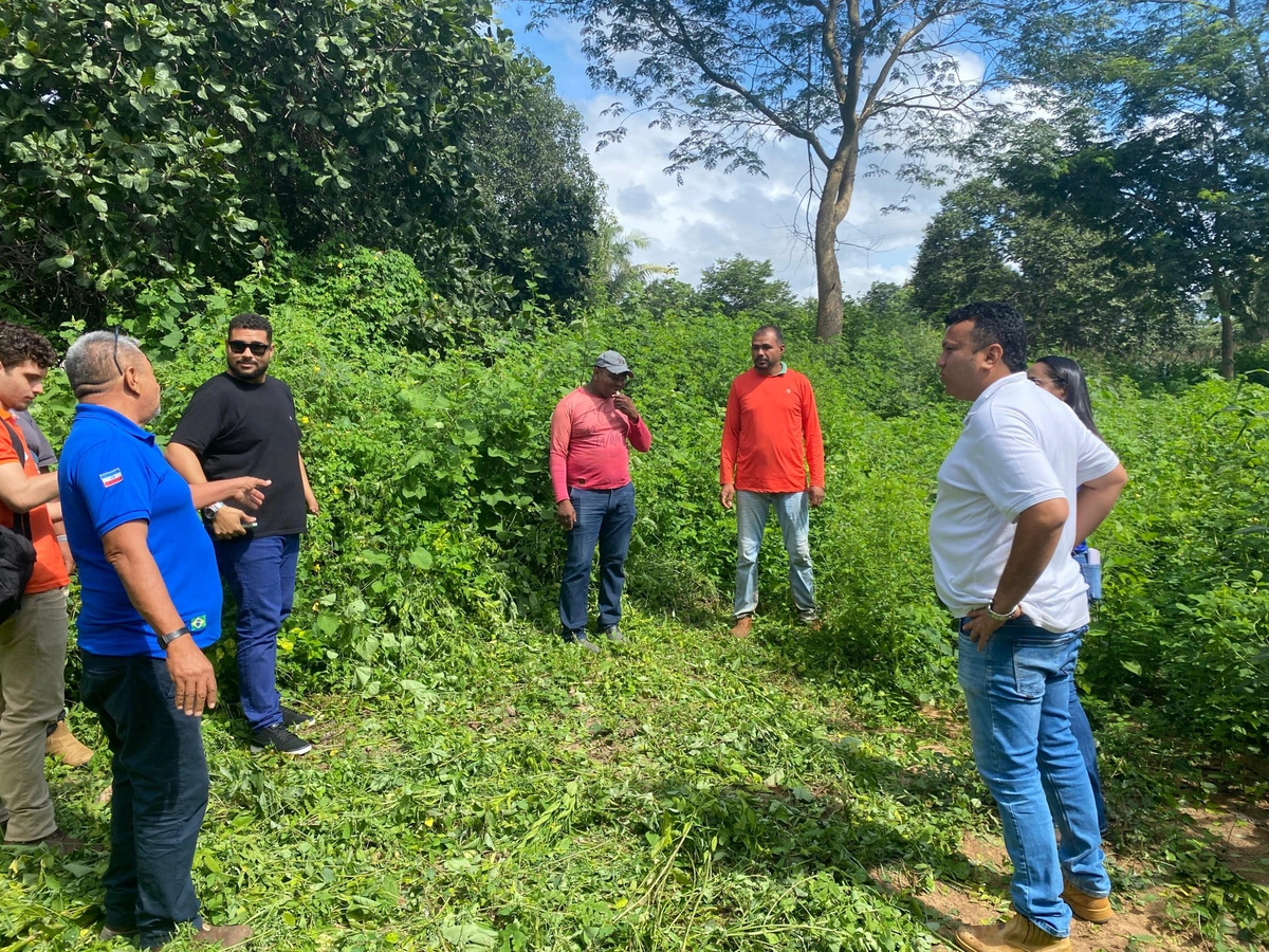 Prefeitura de Uruçuí inicia produção de silagem no distrito de Tucuns