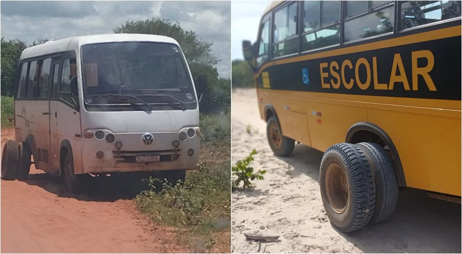 Transporte escolar em Campo Alegre do Fidalgo