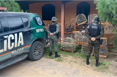 Homem é denunciado por manter 21 aves em cativeiro no CE