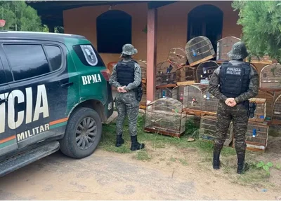 Agentes no local do crime