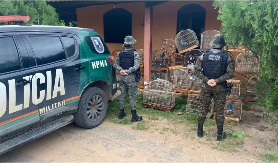 Agentes no local do crime