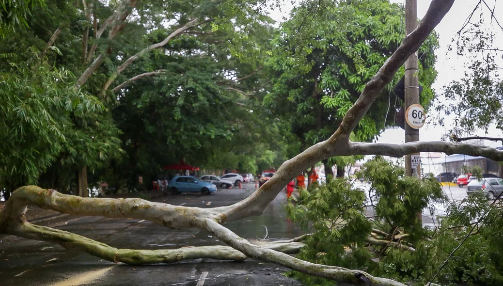 Apesar do susto, nenhum veículo foi atingido