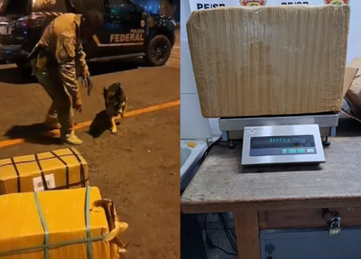 Apreensão de 100 Kg de cocaína no Aeroporto Internacional de Guarulhos