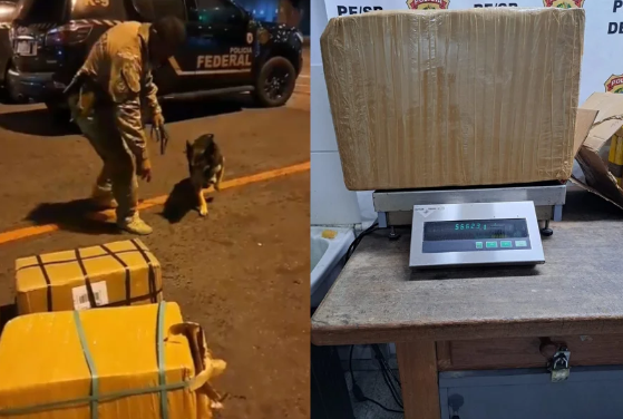 Apreensão de 100 Kg de cocaína no Aeroporto Internacional de Guarulhos