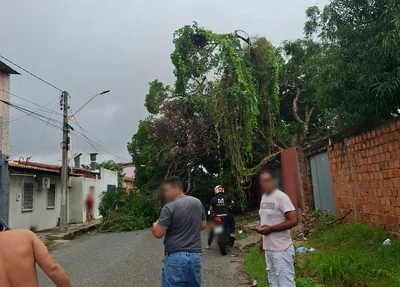 Árvore caiu e deixou rua no bairro Dirceu bloqueada