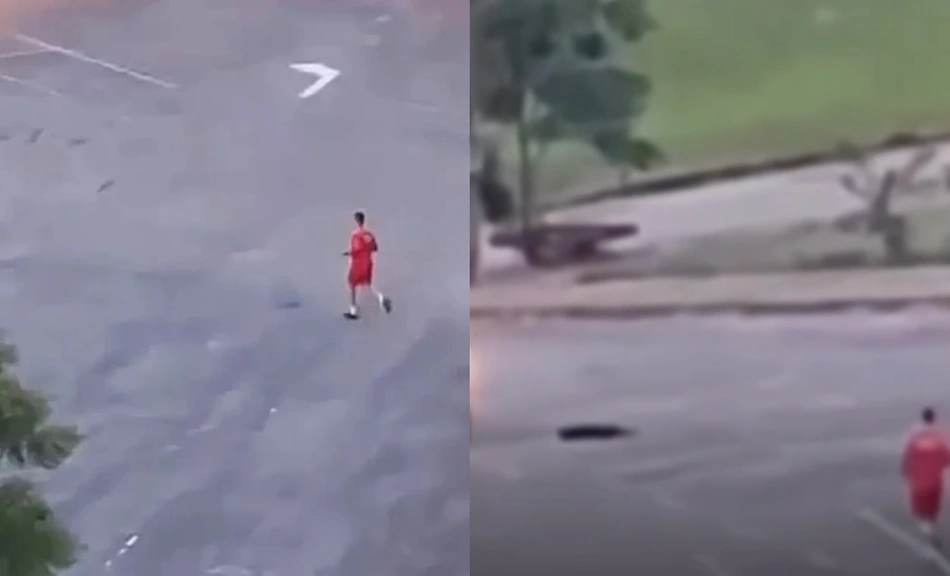 Bombeiro atira em cachorro de rua em Goiânia