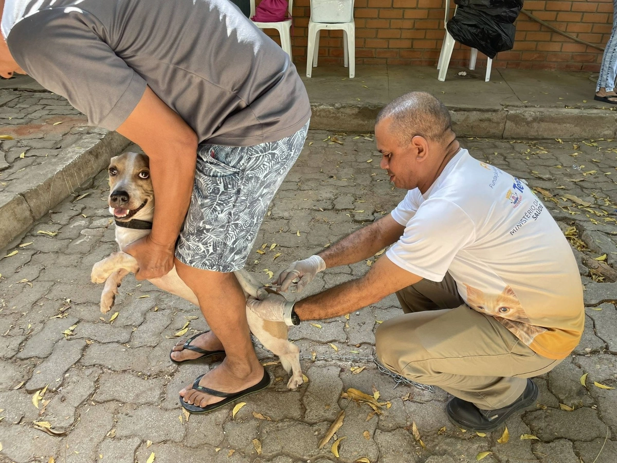 Campanha de vacinação contra a raiva