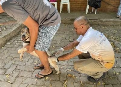 Campanha de vacinação contra a raiva