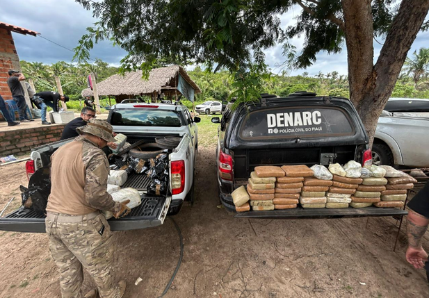 Denarc apreende mais de 730 kg de drogas em 2026