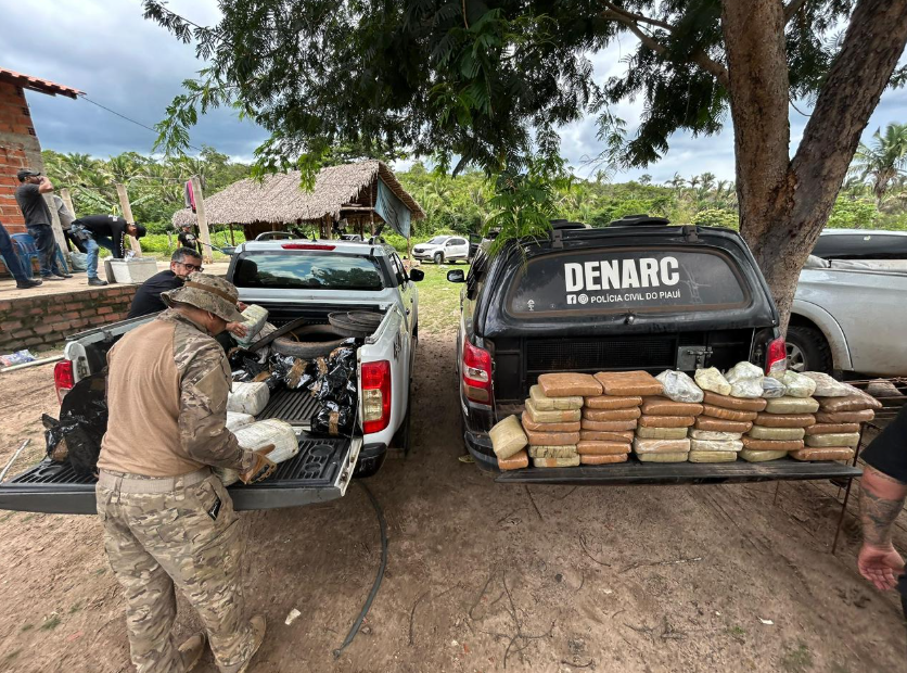 Denarc apreende mais de 730 kg de drogas em 2026