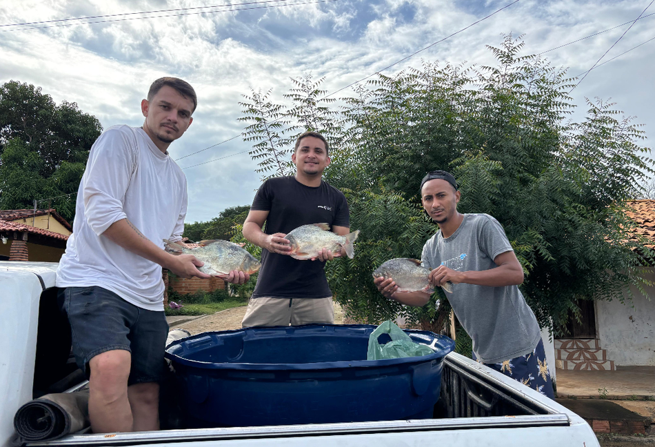 Distribuição dos peixes