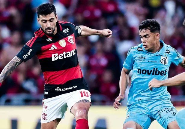 Flamengo vence o Santos e se recupera no Brasileirão