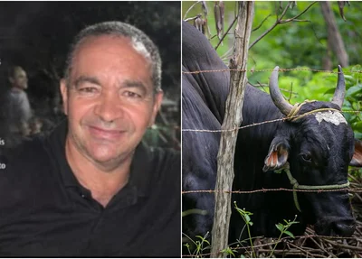 Francisco das Chagas Lopes Silva morreu após ser atacado por touro