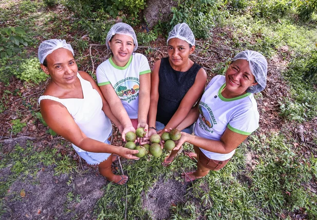 Grupo que trabalha com produtos variados a partir do pequi