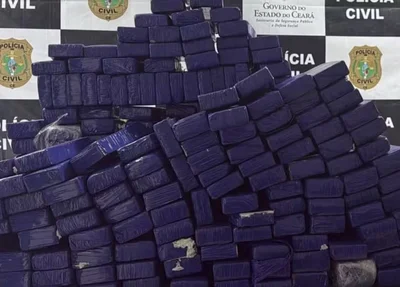 Maconha apreendida
