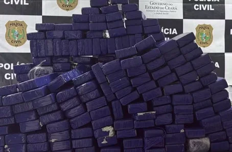 Maconha apreendida