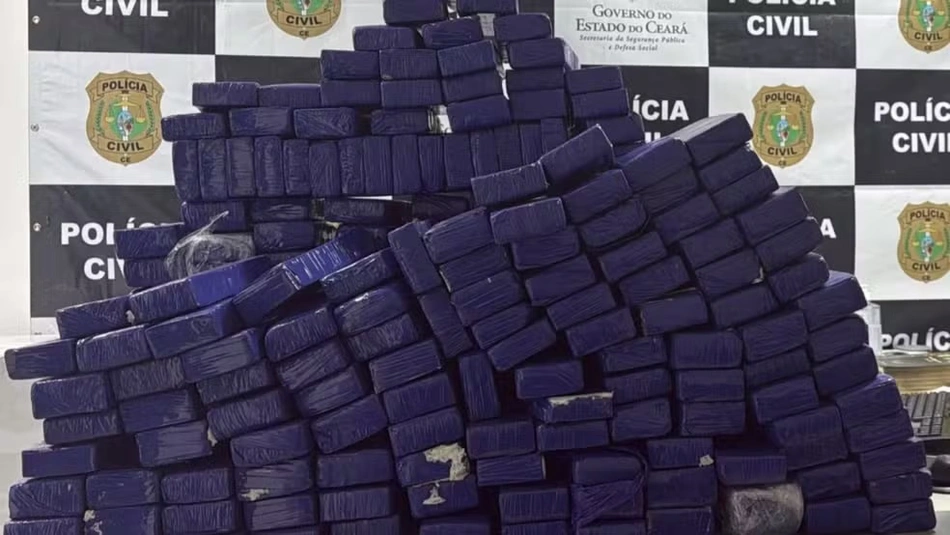 Maconha apreendida