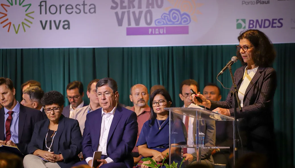 Maria Fernanda Ramos, diretora do BNDES