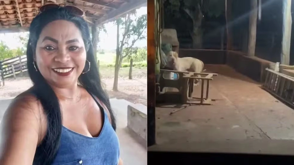Maria José Mariano, mulher atacada por pitbull no Maranhão