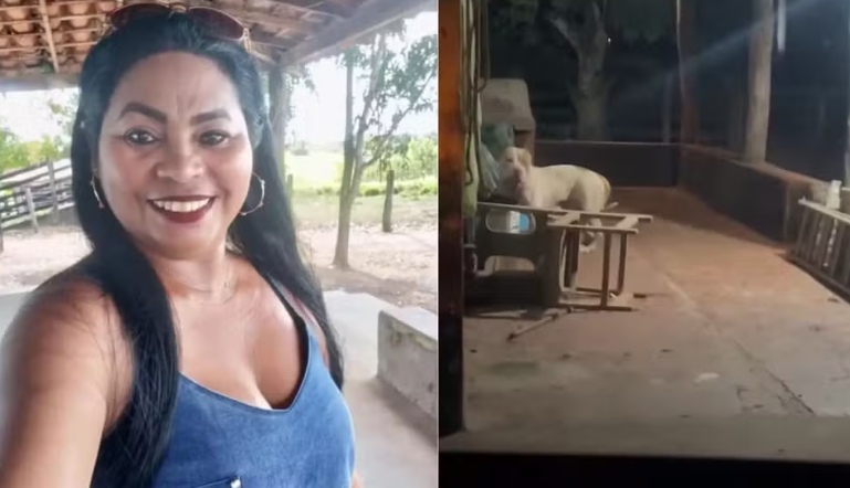 Maria José Mariano