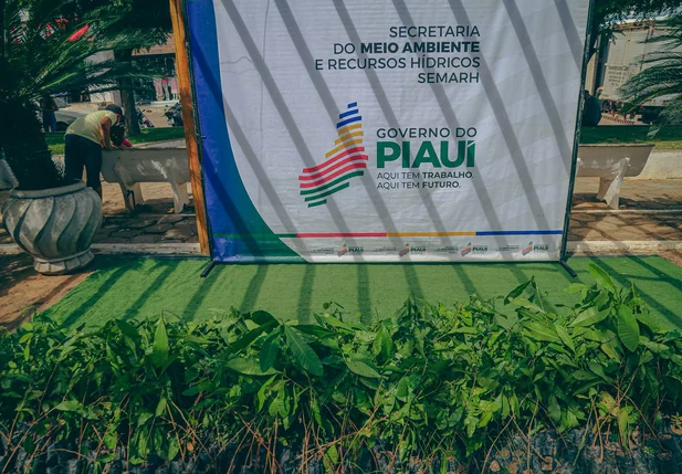 Mudas de plantas da Semarh