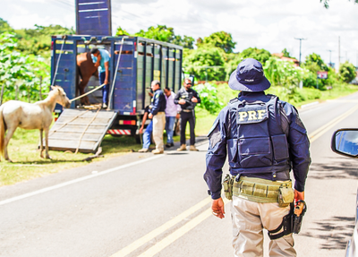 Operação Porteira Fechada