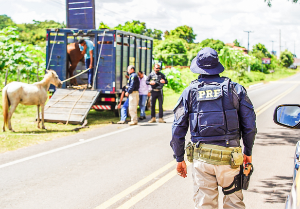 Operação Porteira Fechada